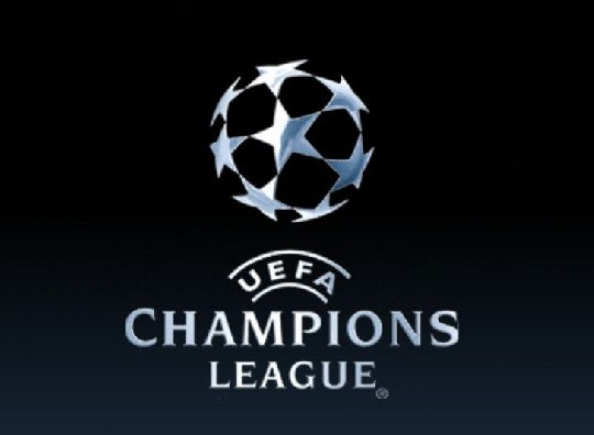 红鸟资本对 红鸟资本对